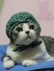 oogiriphp_1156.jpg